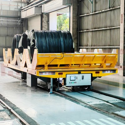10 tunnellati V-Frame Customized Automated RGV
